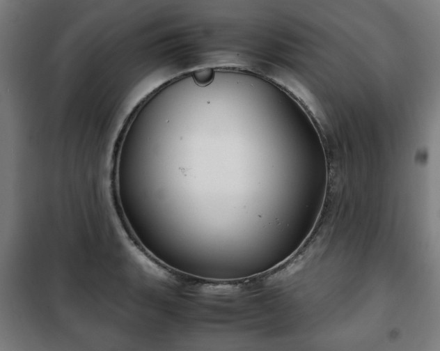 X0000102011135200807251302