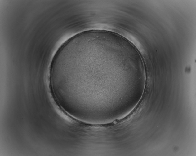 X0000102011136200807251302