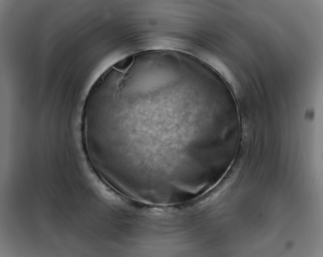 X0000102011138200807251302