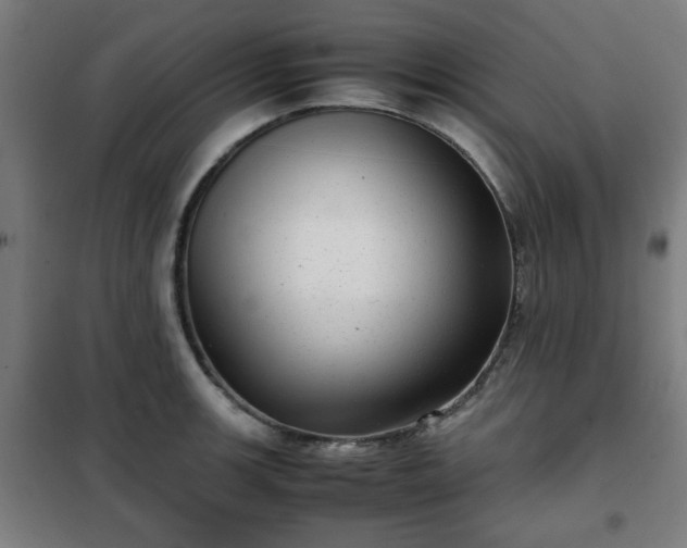 X0000102011139200807251302