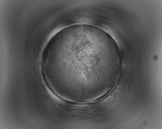 X0000102011143200807251302