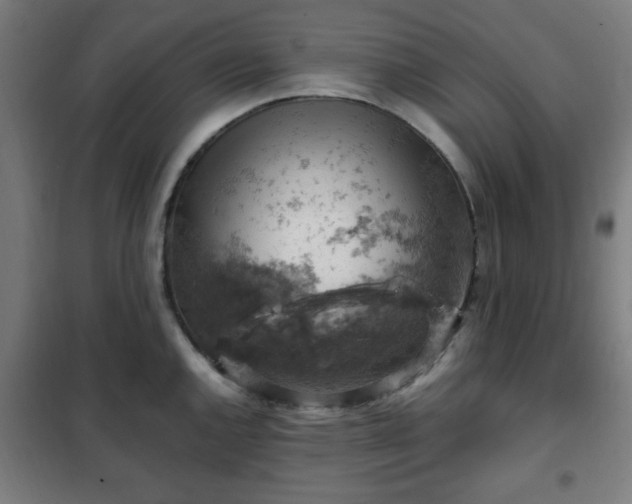 X0000102011144200807251302
