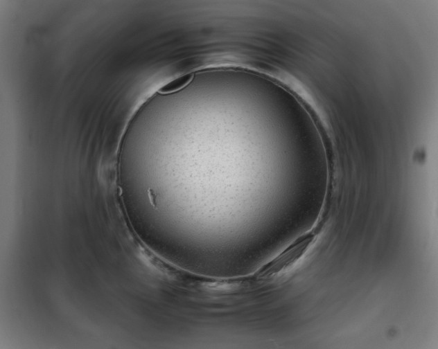 X0000102011145200807251302