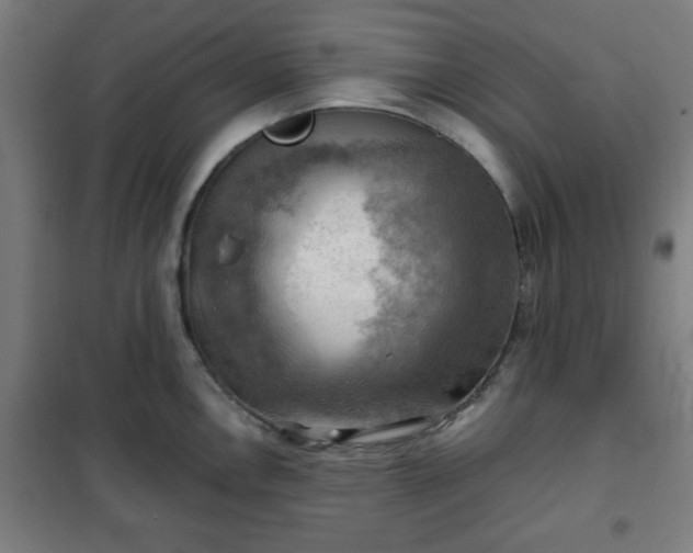 X0000102011146200807251302