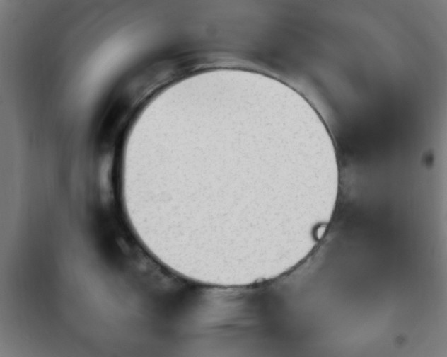 X0000102011150200807251302