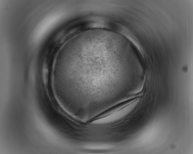 X0000102011151200807251302