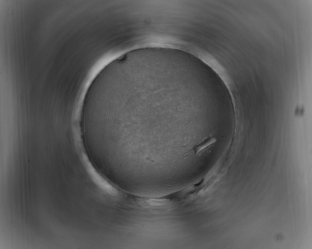 X0000102011152200807251302