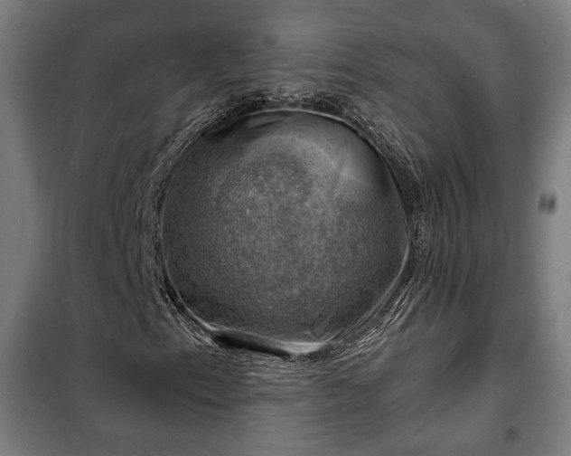 X0000102011153200807251302