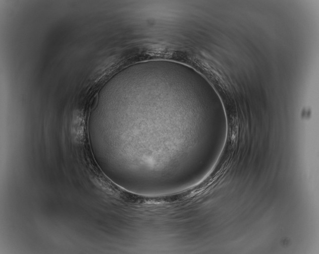 X0000102011154200807251302
