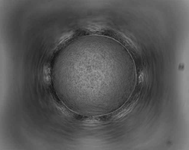 X0000102011156200807251302