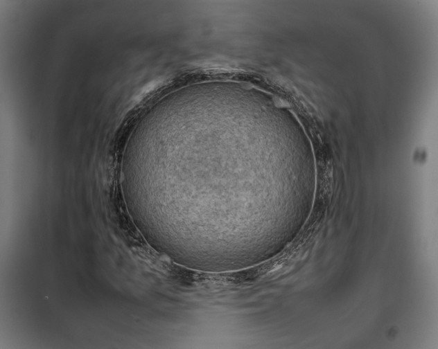 X0000102011157200807251302