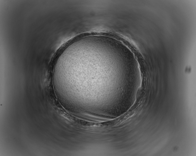 X0000102011160200807251302