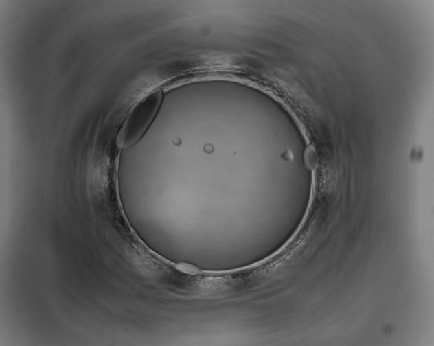 X0000102011161200807251302