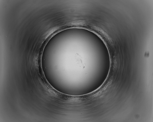 X0000102011162200807251302