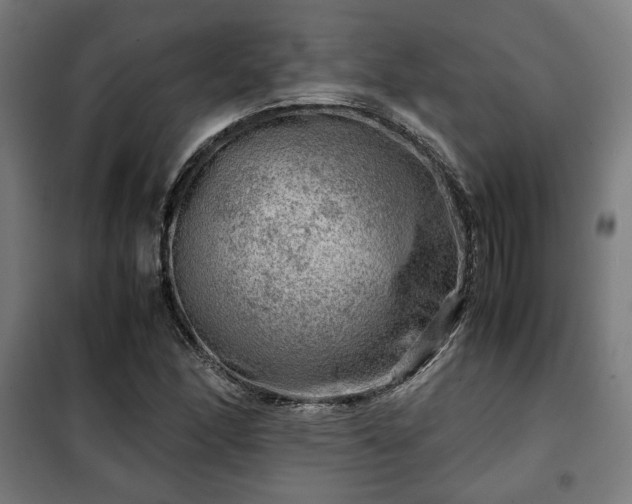 X0000102011166200807251302