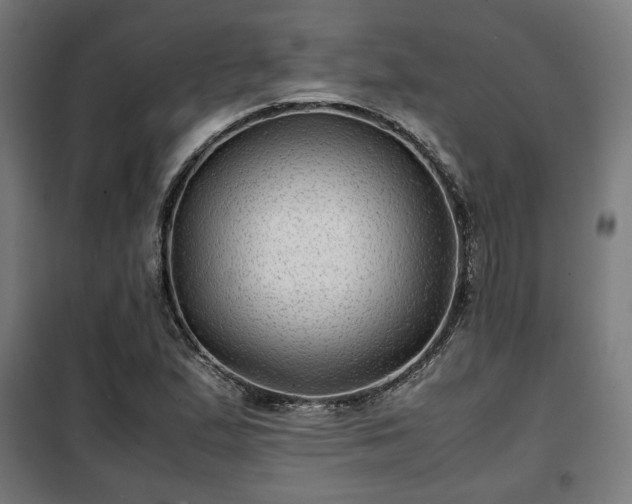 X0000102011167200807251302