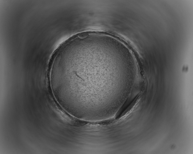 X0000102011168200807251302
