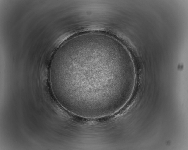 X0000102011169200807251302