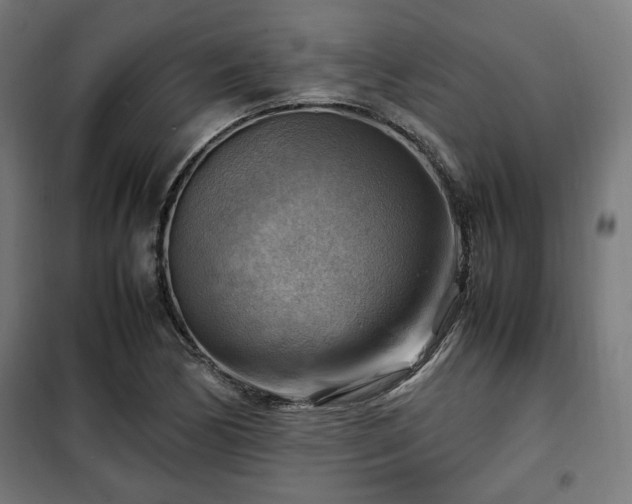 X0000102011170200807251302