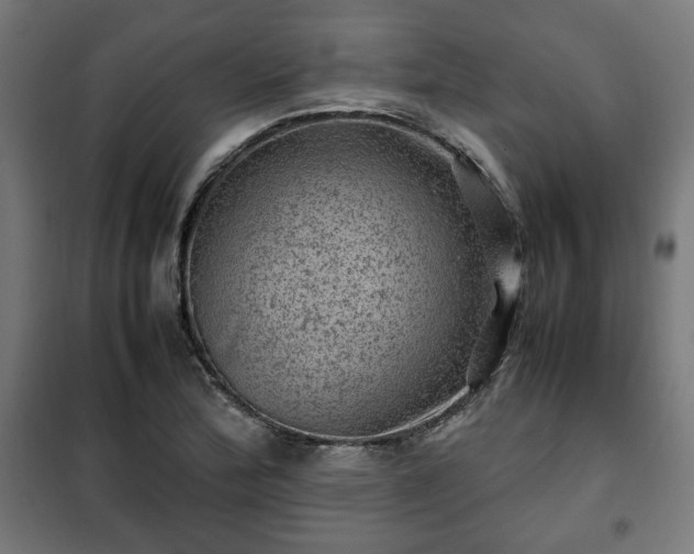X0000102011172200807251302