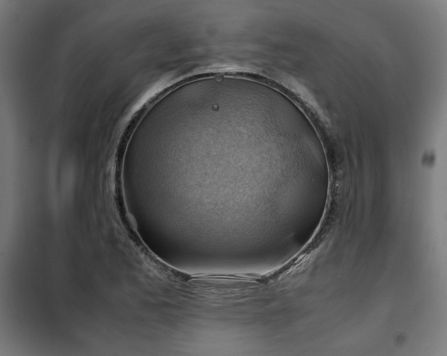 X0000102011173200807251302
