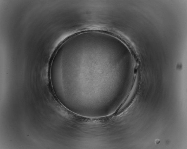 X0000102011174200807251301