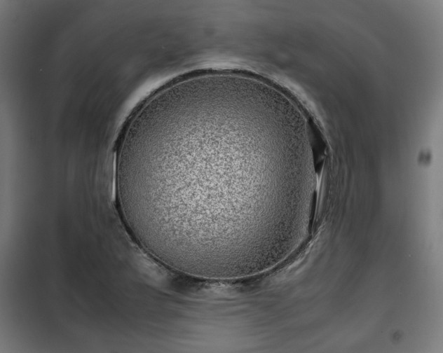 X0000102011175200807251301