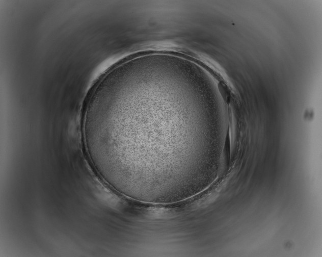 X0000102011176200807251301