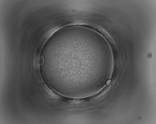 X0000102011177200807251301