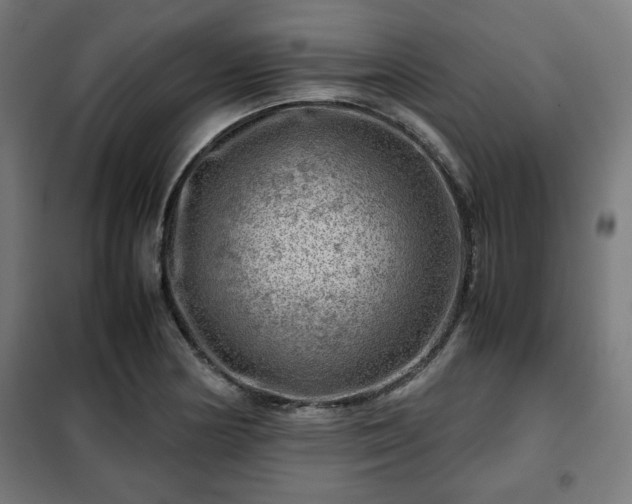 X0000102011178200807251301