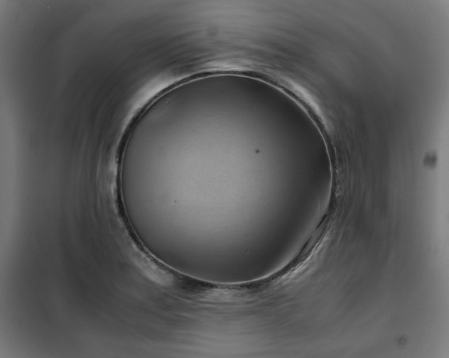 X0000102011179200807251301