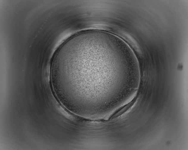 X0000102011180200807251301