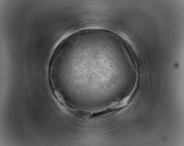 X0000102011181200807251301