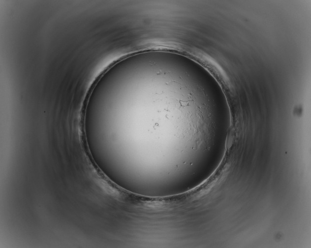 X0000102011182200807251301