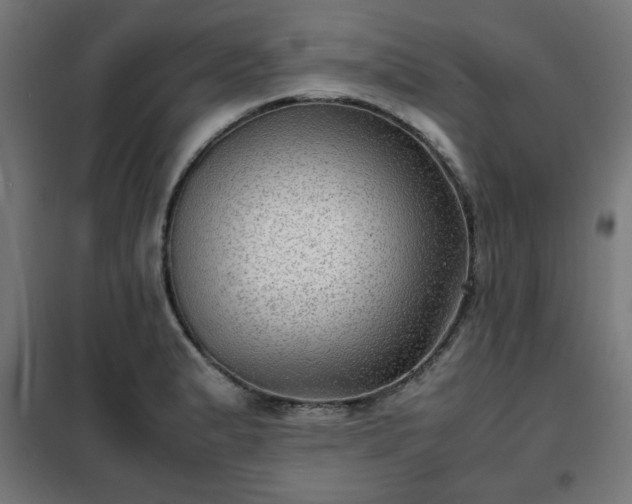 X0000102011183200807251301