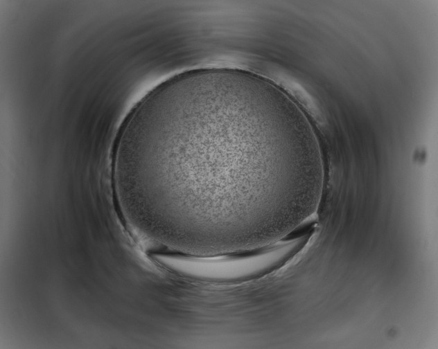 X0000102011184200807251301