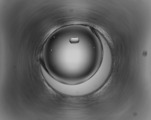 X0000102011185200807251301