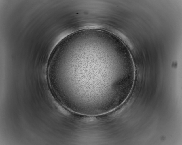 X0000102011186200807251301