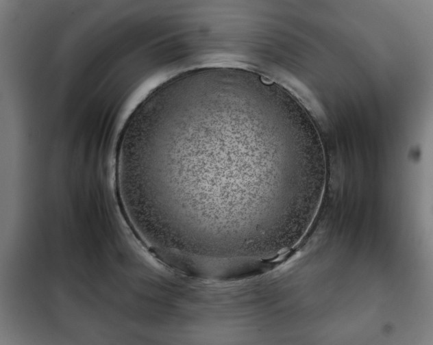 X0000102011188200807251301
