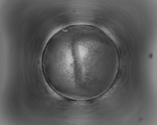 X0000102011189200807251301