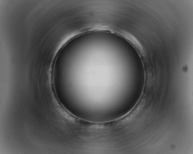 X0000102011190200807251301