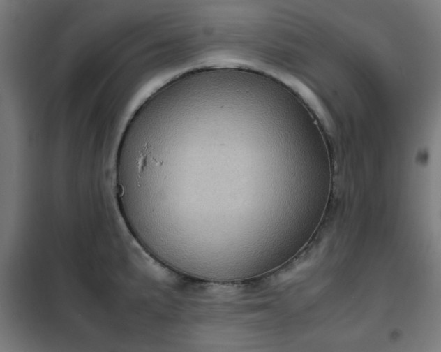 X0000102011191200807251301