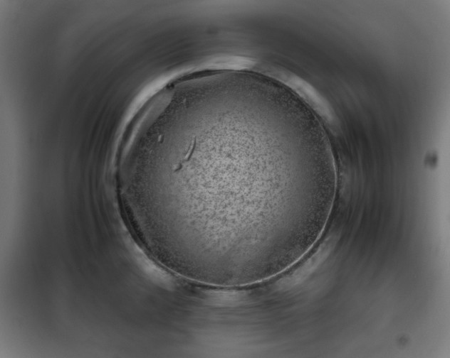 X0000102011192200807251301