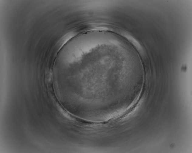 X0000102011193200807251301