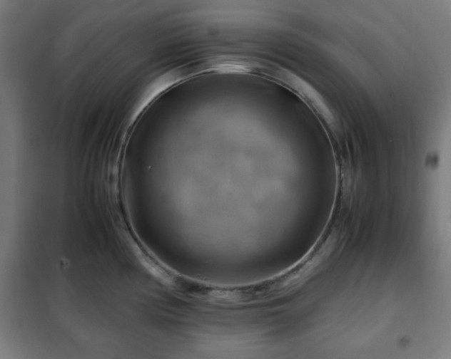 X0000102011194200807251301