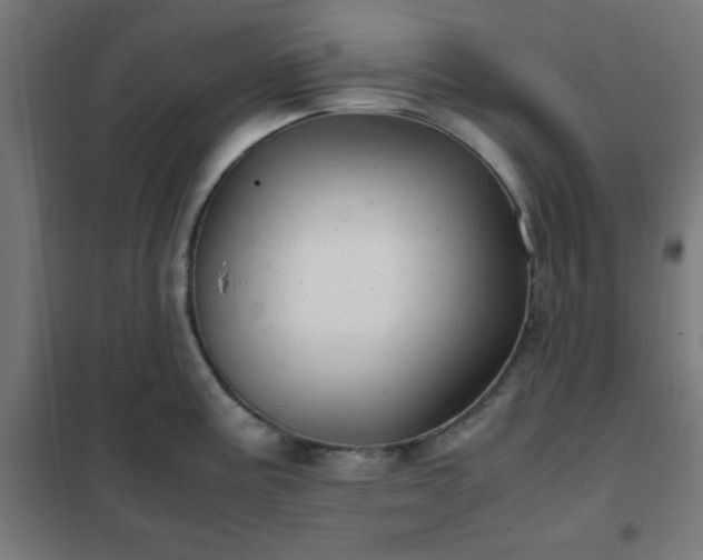X0000102011195200807251301