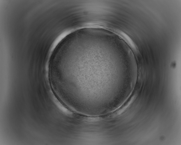 X0000102011196200807251301