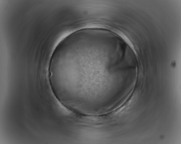 X0000102011197200807251301
