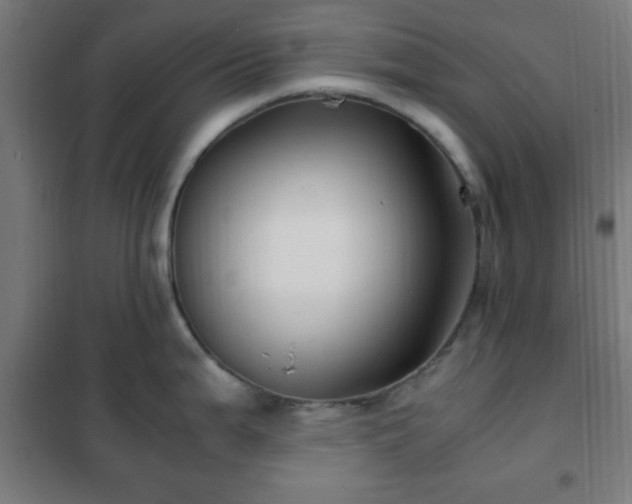 X0000102011199200807251301