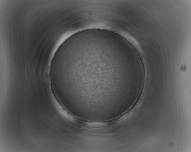 X0000102011200200807251301